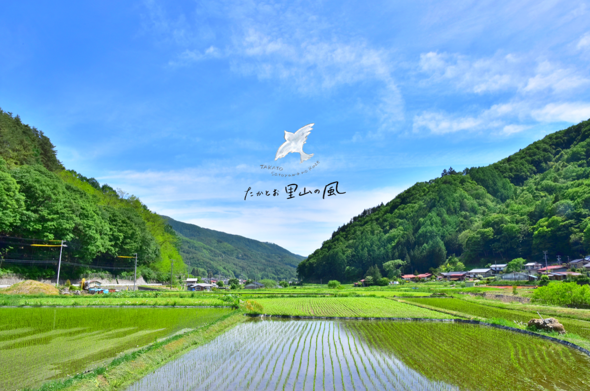 CATEGORY クロモジ | 高遠里山の風