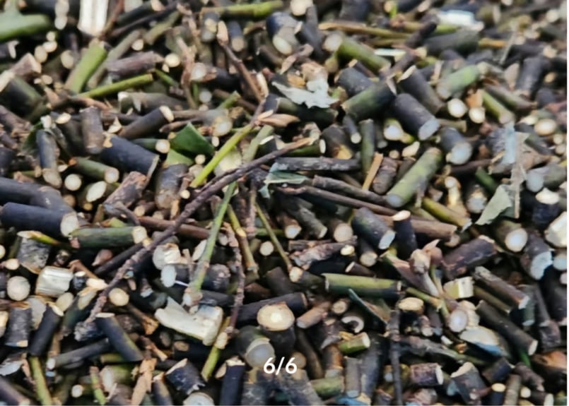 手付茶入　赤膚茶入　瓢箪型赤膚印無名　柏？　保存箱　MA267 手付茶入 赤膚茶入 瓢箪型赤膚印無名 柏？ 保存箱 MA267 手付