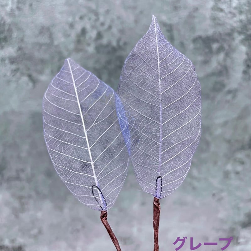 スケルトンリーフ(2pcs) | Atelier Naglace. スケルトンリーフ(2pcs) | Atelier Naglace.