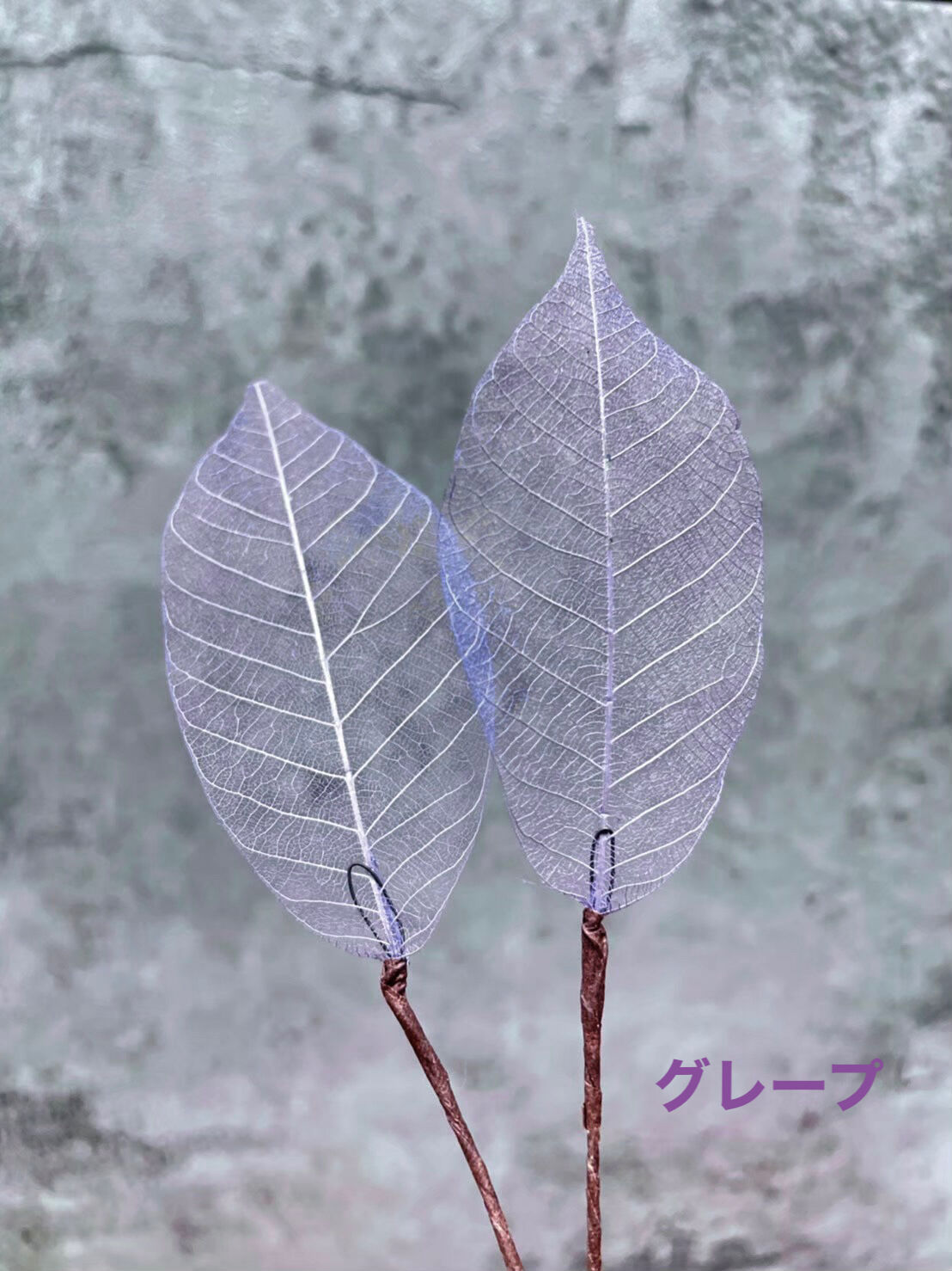 スケルトンリーフ(2pcs) | Atelier Naglace. スケルトンリーフ(2pcs) | Atelier Naglace.