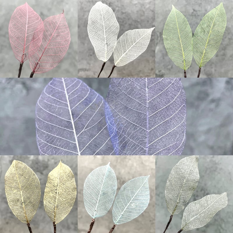 スケルトンリーフ(2pcs) | Atelier Naglace. スケルトンリーフ(2pcs) | Atelier Naglace.