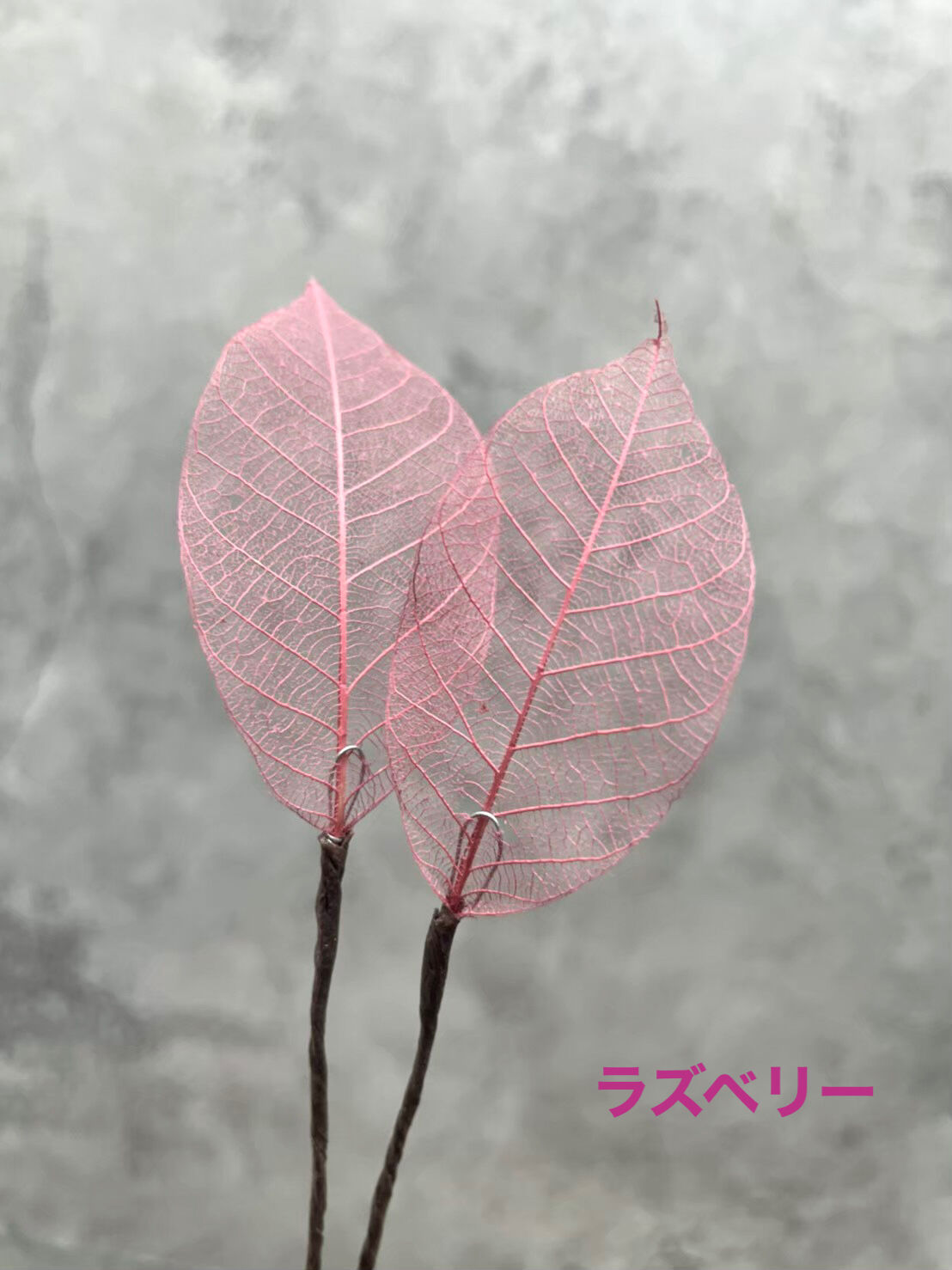 スケルトンリーフ(2pcs) | Atelier Naglace. スケルトンリーフ(2pcs) | Atelier Naglace.