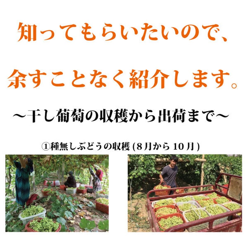 グリーンレーズン 200g×2袋 無農薬 無添加 ノンオイル 残留農薬検査