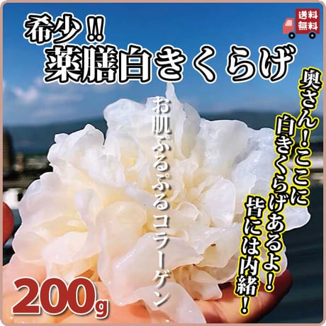 白きくらげ 200g 薬膳 高級食材 白 希少 乾燥 漢方 健康食品 農薬不使用 無添加 圧倒的な安さ 日本を健康にする長寿薬膳堂