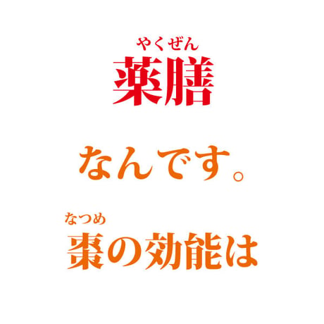 特大 なつめ 種抜き 1.6kg 定期便 棗 ナツメ 手のひらサイ ズの大なつめ 無農薬 薬膳 オー ガニック 妊婦にも 葉酸 鉄 分 カリウム カルシウム ミネラ ル 送料無料 長寿薬膳堂