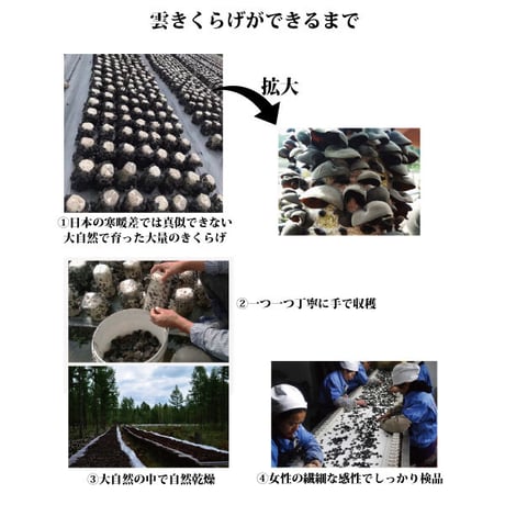雲きくらげ 100g x 2袋 乾燥 キクラゲ ハルピン産  黒キクラゲ 無農薬 無添加 茸 キノコ 長寿薬膳堂
