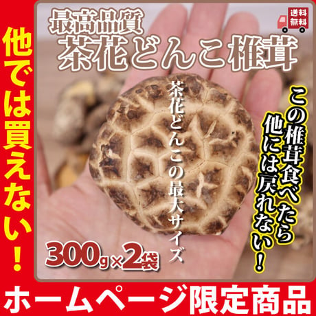 [ご注文前要連絡] どんこ椎茸 300g×2袋 干し椎茸 茶花どんこ椎茸 おいしい 限定商品 血液サラサラ 食物繊維 カリウム ビタミンD コレステロール値を抑える 長寿薬膳堂