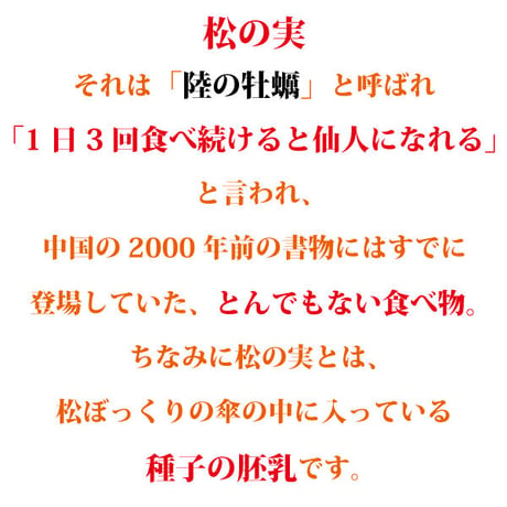 松の実 大粒 100g×2袋 お徳用 クリーミー 新物限定 とれとれの大粒サクサク 陸の牡蠣 生活習慣病予防 炎症やかゆみの抑制 貧血の予防に 長寿薬膳堂