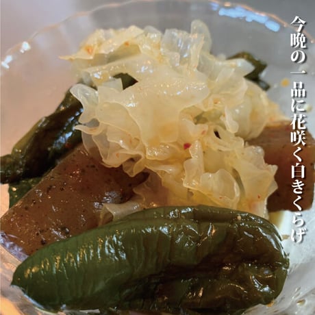 白きくらげ 200g 薬膳 高級食材 白 希少 乾燥 漢方 健康食品 農薬不使用 無添加 圧倒的な安さ 日本を健康にする長寿薬膳堂