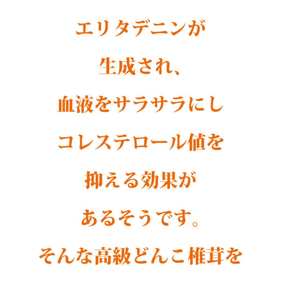 62139ce3e3bbd15558dbd4dc