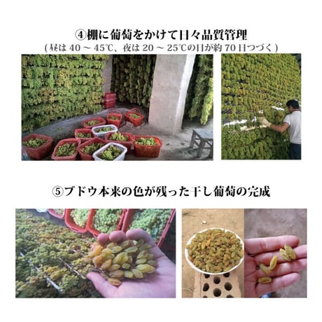 シルクロードの干しブドウ 無農薬 無添加 ノンオイル 残留農薬検査済み シルクロード 干しぶどう 干し葡萄ドライフルーツ 日本を健康にする長寿薬膳堂