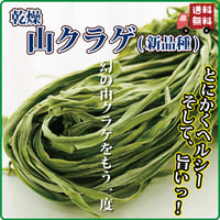 山くらげ 乾燥山クラゲ 無農薬 オーガニック ダイエット 低カロリー 食物繊維 腹持ちがいい ご飯のお供 1束 送料無料 長寿薬膳堂