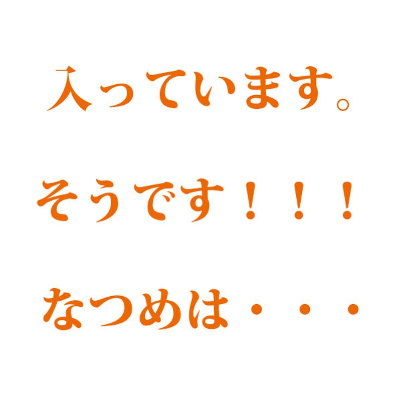 棗2点 All Item | エブリデイ Z/X Life!