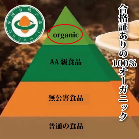 霊芝パウダー 霊芝粉末 上質パウダー 高血圧や高コレステロールの改善に期待 長寿薬膳堂