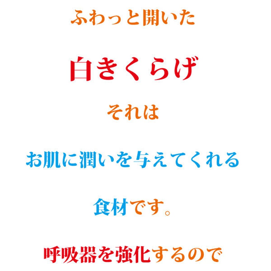 66ff8729646cf1080f8cdd7d