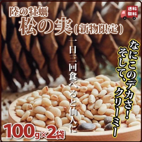 新入荷！　新物松の実　２袋同封割引きで