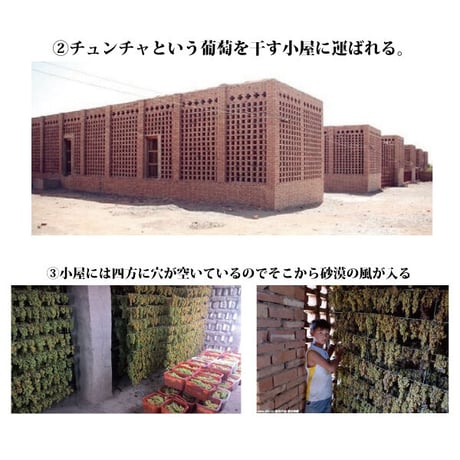 シルクロードの干しブドウ 無農薬 無添加 ノンオイル 残留農薬検査済み シルクロード 干しぶどう 干し葡萄ドライフルーツ 日本を健康にする長寿薬膳堂