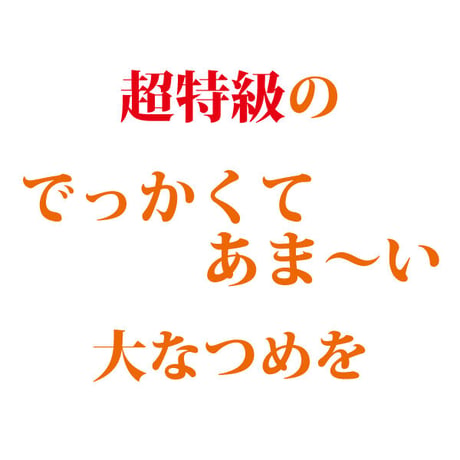 なつめ 特大 種抜き 400g ナツメ 手のひらサイズの大なつめ 無農薬 薬膳 オーガニック 葉酸 鉄分 カリウム カルシウム ミネラル 長寿薬膳堂