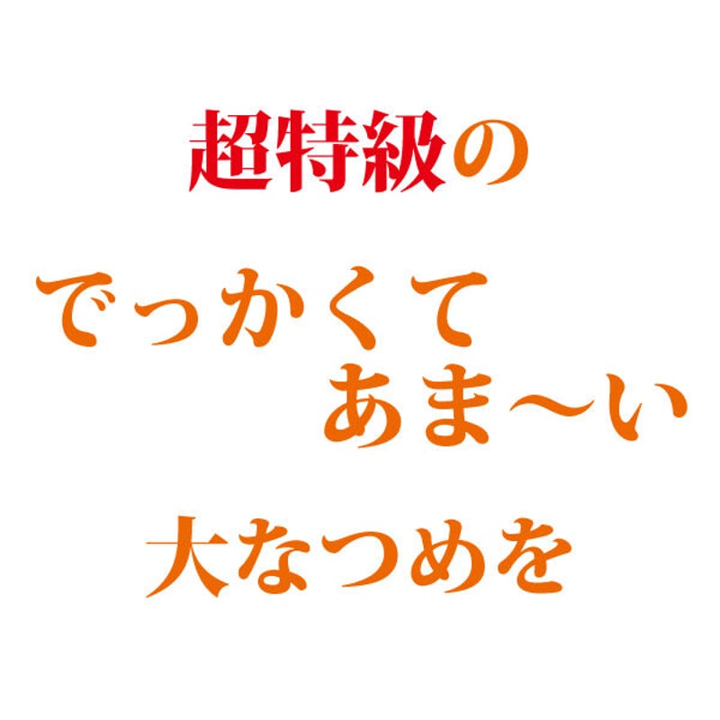 棗2点 特大なつめ 2kg ナツメ 手のひらサイ ズの大なつめ 無農薬 薬膳