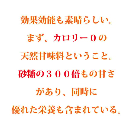 羅漢果パウダー ラカンカ パウダー 100g 天然甘味料 カロリーゼロ ラカント ケーキやお菓子に 糖質ゼロ 健康茶 薬膳 長寿薬膳堂