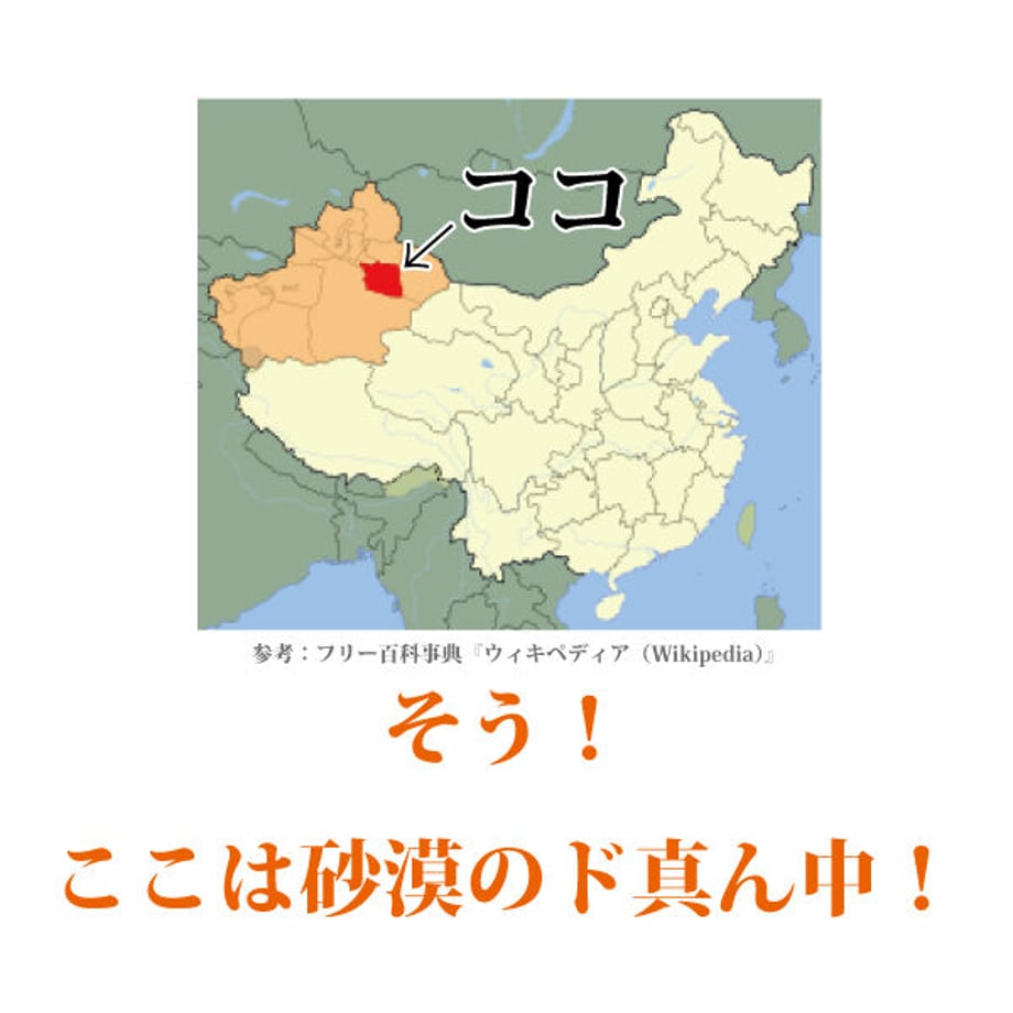 620dfcacacbcb02fc5b2ee03