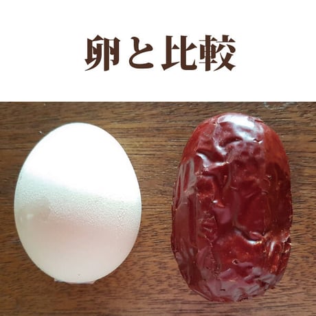 特大 なつめ 種抜き 1.6kg 定期便 棗 ナツメ 手のひらサイ ズの大なつめ 無農薬 薬膳 オー ガニック 妊婦にも 葉酸 鉄 分 カリウム カルシウム ミネラ ル 送料無料 長寿薬膳堂