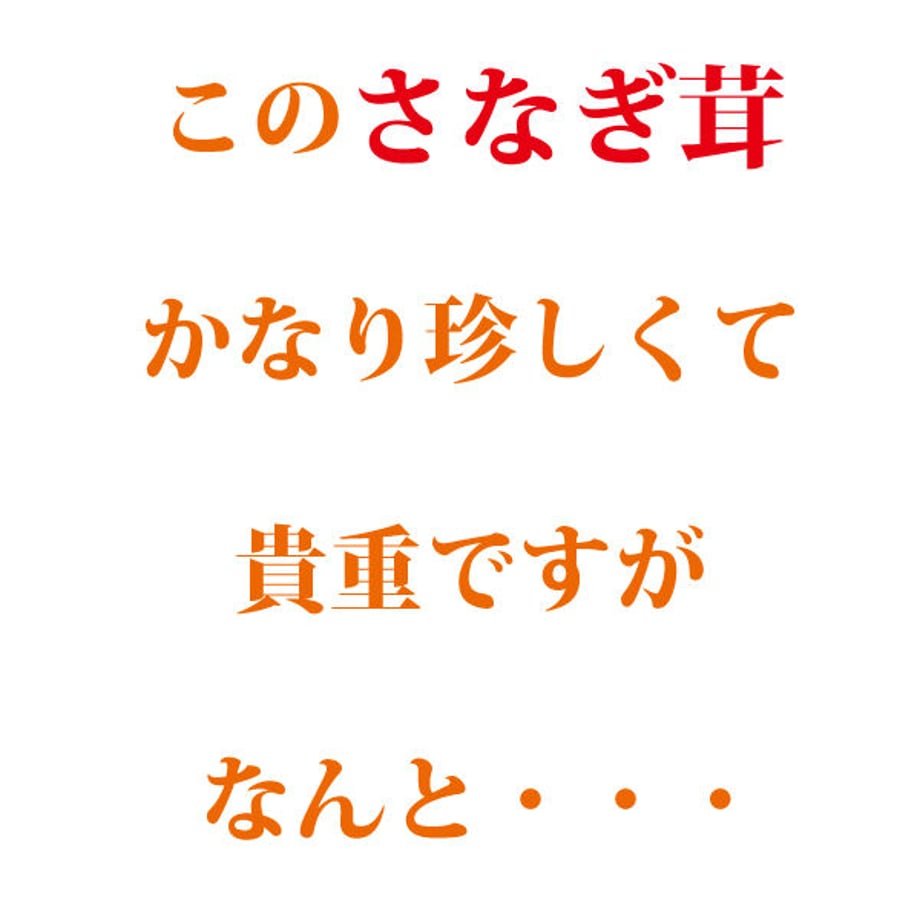 620df829e3bbd170817254a9