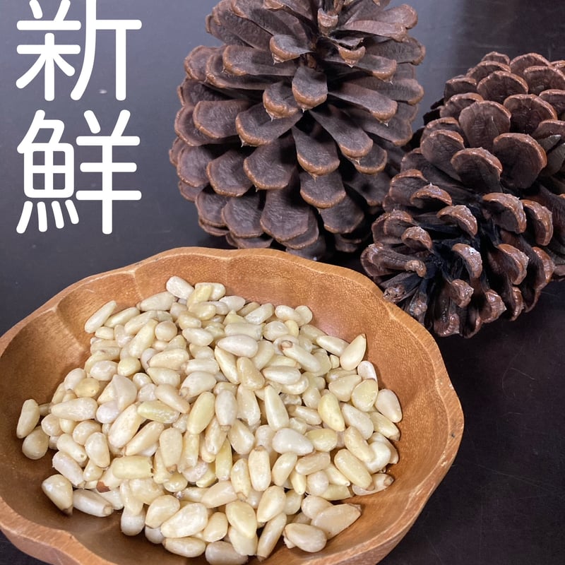新入荷！ 新物松の実 | 長寿薬膳堂