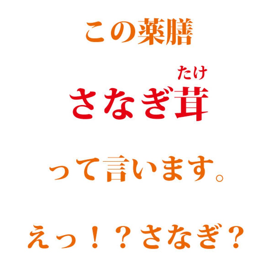 620df829e3bbd170817254a9