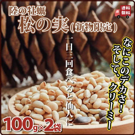 松の実 大粒 100g×2袋 お徳用 クリーミー 新物限定 とれとれの大粒サクサク 陸の牡蠣 生活習慣病予防 炎症やかゆみの抑制 貧血の予防に 長寿薬膳堂