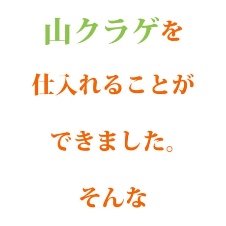 山くらげ 乾燥山クラゲ 無農薬 オーガニック ダイエット 低カロリー 食物繊維 腹持ちがいい ご飯のお供 1束 送料無料 長寿薬膳堂