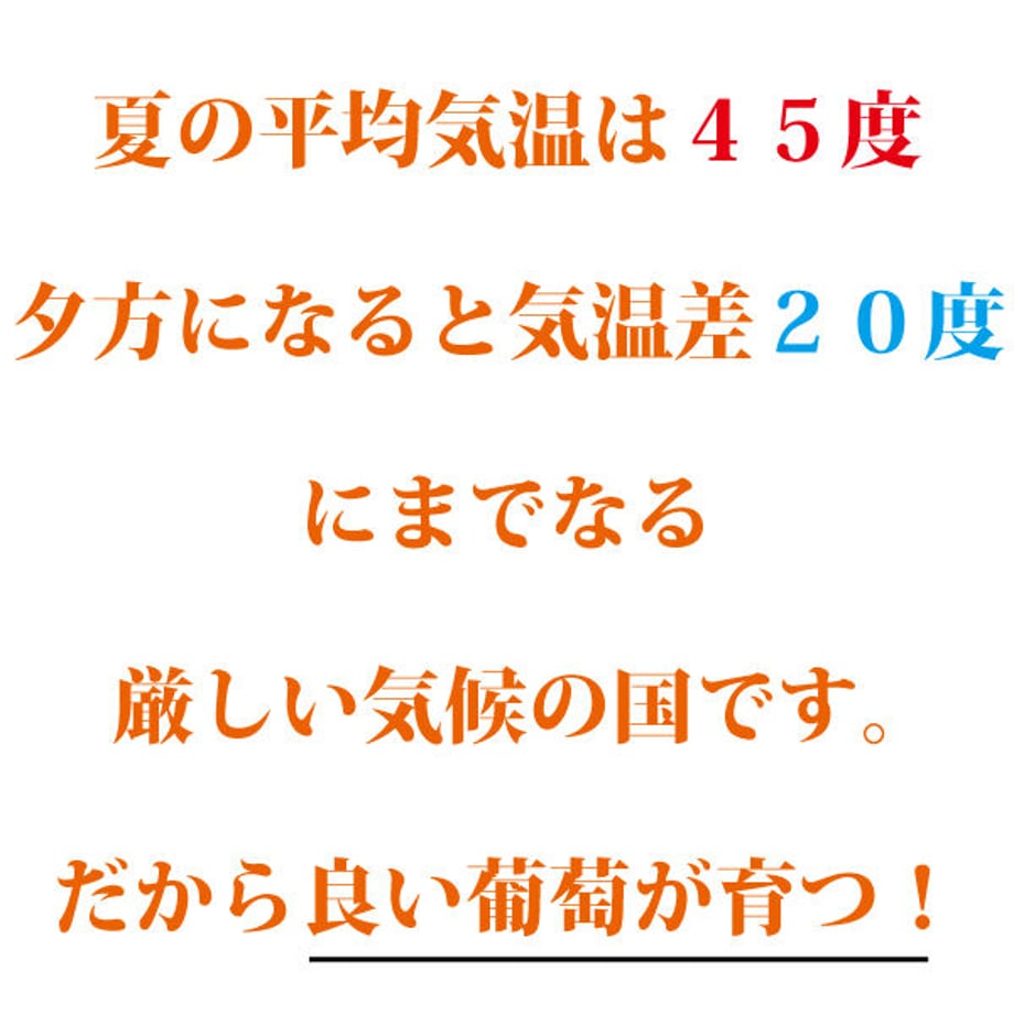 620dfcacacbcb02fc5b2ee03