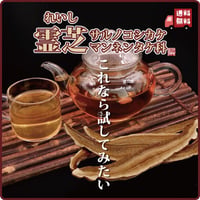 霊芝 120g れいし レイシ 赤霊芝 漢方 本場中国から輸入 健康茶 サルノコシカケ科 マンネンダケ 健康食品 長寿薬膳堂
