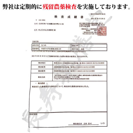なつめチップス 120ｇ×2セット ご家庭用 なつめチップ なつめ 無添加 ノンフライ 妊活 鉄分 サクサク ダイエット 長寿薬膳堂