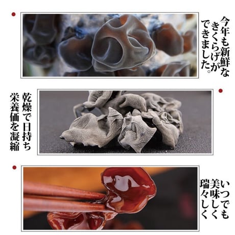 雲きくらげ 100g x 2袋 乾燥 キクラゲ ハルピン産  黒キクラゲ 無農薬 無添加 茸 キノコ 長寿薬膳堂