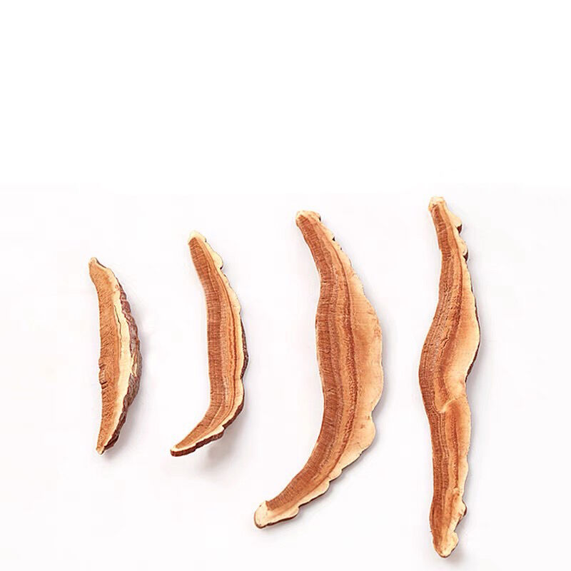 霊芝 120g れいし レイシ 赤霊芝 漢方 本場中国から輸入 健康茶