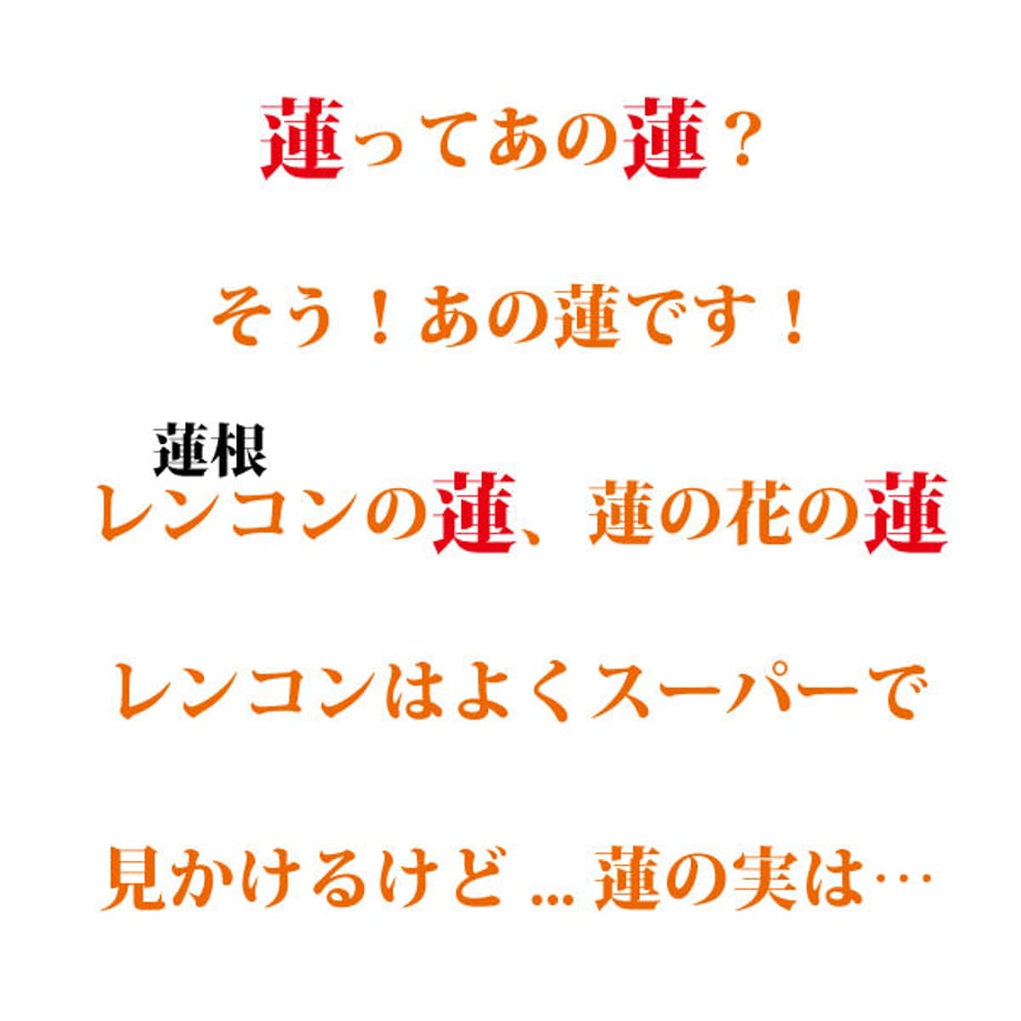 620dffd572c5de2dee255a8d