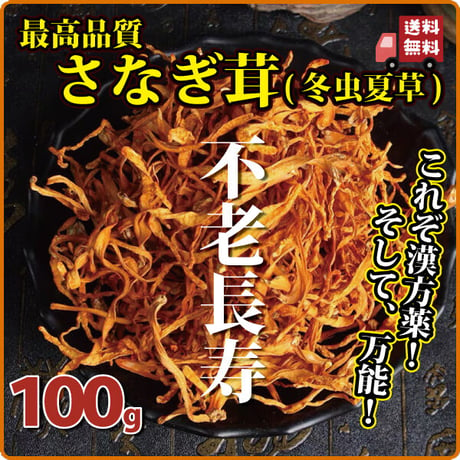 サナギタケ 100g さなぎ茸 川並冬虫夏草 きのこ 橘花茸 希少 薬膳 漢方薬 がん予防 不老長寿 花粉症改善 慢性腰痛 小児喘息 咳 冷え性 長寿薬膳堂