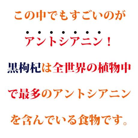 黒枸杞 黒クコ チベット野生黒枸杞 アントシアニン 長時間スマホ・パソコンを見ている方におすすめ 紫外線から皮膚を保護 長寿薬膳堂