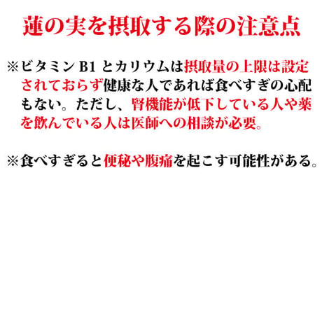 蓮の実 300g ハスの実 薬膳 無農薬 検査済み 日本を健康にする長寿薬膳堂