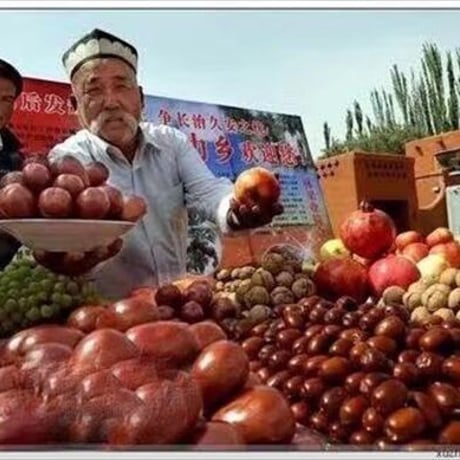 特大 なつめ 種抜き 1.6kg 定期便 棗 ナツメ 手のひらサイ ズの大なつめ 無農薬 薬膳 オー ガニック 妊婦にも 葉酸 鉄 分 カリウム カルシウム ミネラ ル 送料無料 長寿薬膳堂