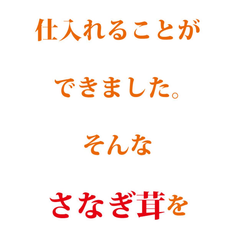 620df829e3bbd170817254a9