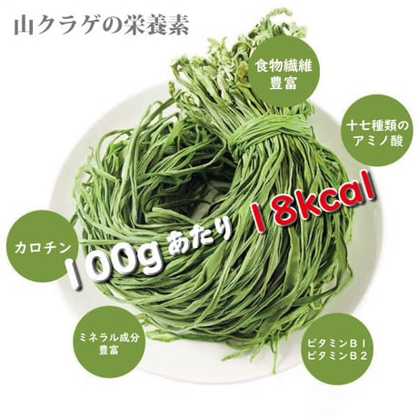 山くらげ 乾燥山クラゲ 無農薬 オーガニック ダイエット 低カロリー 食物繊維 腹持ちがいい ご飯のお供 1束 送料無料 長寿薬膳堂