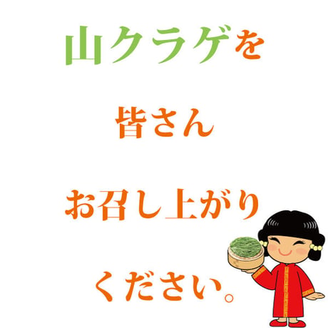 山くらげ 乾燥山クラゲ 無農薬 オーガニック ダイエット 低カロリー 食物繊維 腹持ちがいい ご飯のお供 1束 送料無料 長寿薬膳堂