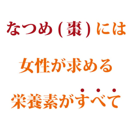 特大 なつめ 種抜き 1.6kg 定期便 棗 ナツメ 手のひらサイ ズの大なつめ 無農薬 薬膳 オー ガニック 妊婦にも 葉酸 鉄 分 カリウム カルシウム ミネラ ル 送料無料 長寿薬膳堂