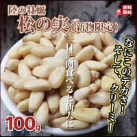 新入荷！　新物松の実