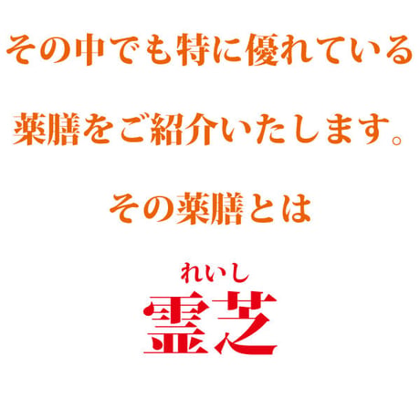 霊芝 120g れいし レイシ 赤霊芝 漢方 本場中国から輸入 健康茶 サルノコシカケ科 マンネンダケ 健康食品 長寿薬膳堂