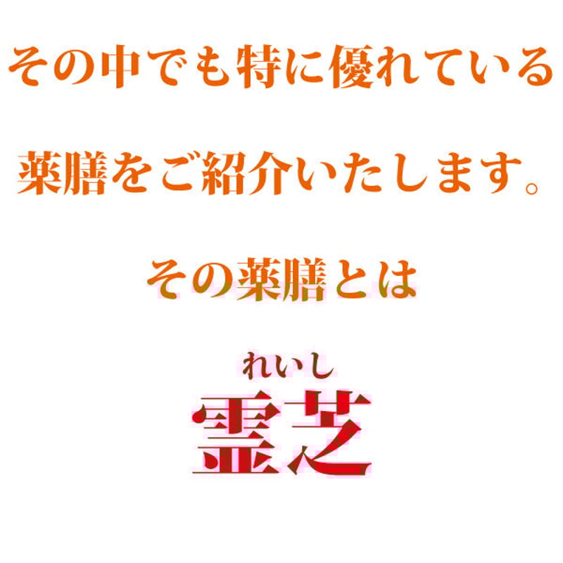 霊芝 120g れいし レイシ 赤霊芝 漢方 本場中国から輸入 健康茶