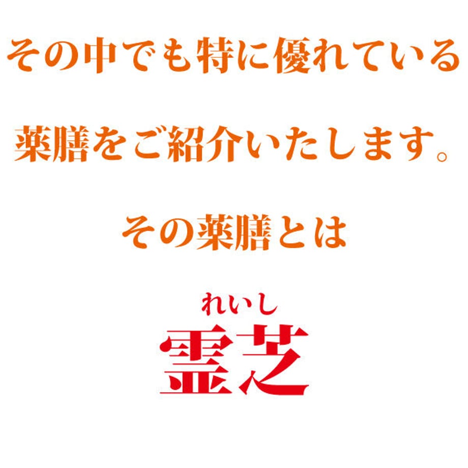 620dfd66423f6a0988e02ccb