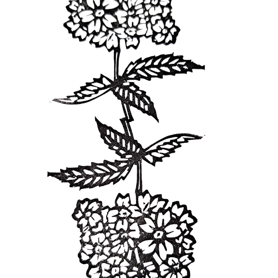 624e2ff40d4f3a351dd01c0b